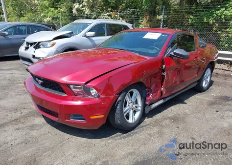 2010 Ford Mustang V6/V6 Premium z USA, uszkodzony, nr VIN 1ZVBP8AN7A5135555
